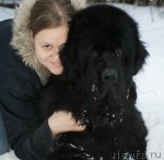 Превью фото № 84806