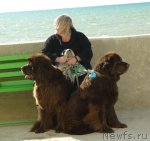 Превью фото № 85072