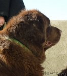 Превью фото № 85076