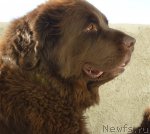 Превью фото № 85077