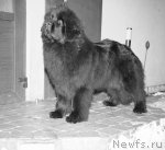 Превью фото № 85299