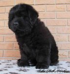 Превью фото № 86009