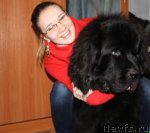 Превью фото № 86166