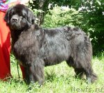 Превью фото № 86167