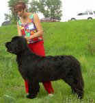 Превью фото № 86292