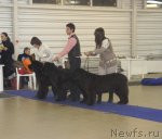 Превью фото № 86323