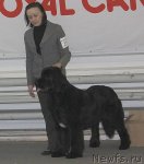 Превью фото № 86465