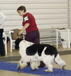 Превью фото № 86490