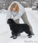 Превью фото № 86562