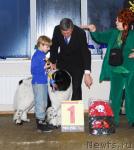 Превью фото № 8661