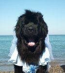 Превью фото № 86825