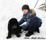 Превью фото № 86872