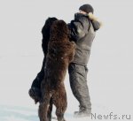 Превью фото № 87599