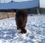 Превью фото № 87756