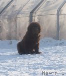 Превью фото № 87758