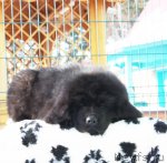 Превью фото № 87799