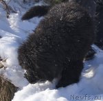 Превью фото № 88185