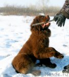 Превью фото № 88209