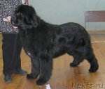 Превью фото № 88249