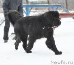 Превью фото № 88384