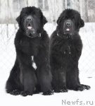 Превью фото № 88387