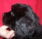 Превью фото № 8856