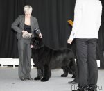 Превью фото № 88703