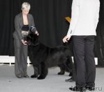 Превью фото № 88704