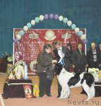 Превью фото № 88825