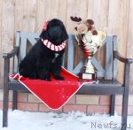 Превью фото № 88828