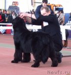 Превью фото № 88886