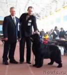 Превью фото № 88905