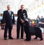 Превью фото № 88906