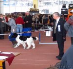 Превью фото № 88908