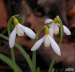 Превью фото № 88961