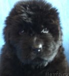 Превью фото № 88999