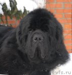 Превью фото № 89111