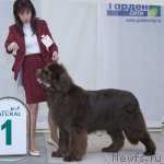 Превью фото № 89307