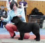 Превью фото № 89371