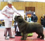 Превью фото № 89393