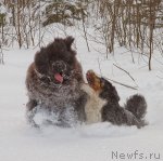 Превью фото № 89403