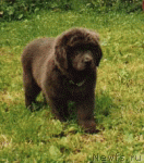 Превью фото № 895