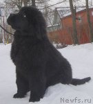 Превью фото № 89585