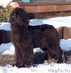 Превью фото № 896