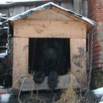 Превью фото № 9