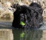 Превью фото № 90052