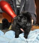 Превью фото № 90507