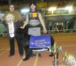 Превью фото № 90583