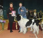 Превью фото № 90593