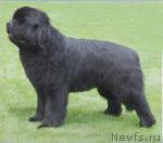 Превью фото № 907